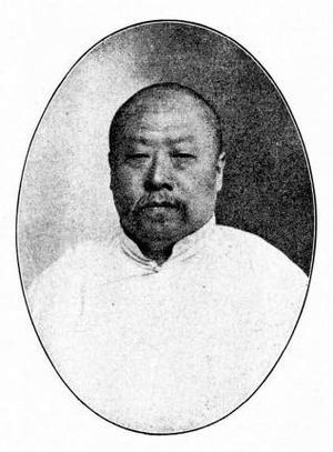 王人文